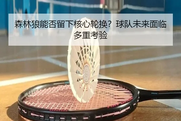森林狼能否留下核心轮换？球队未来面临多重考验